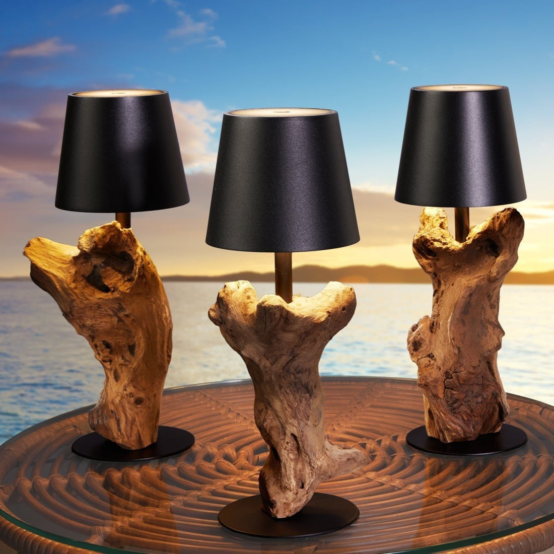 LampenkLED lampe de table à piles HYPNOTIC TO GO 30cm noir naturel rechargeable avec variateur tactile sans câble - 44098